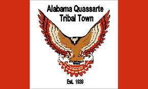 This is alt text for the image