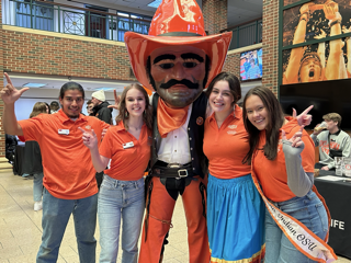 This is alt text for the image