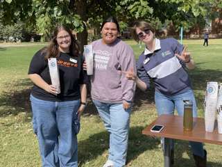 This is alt text for the image