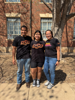 This is alt text for the image