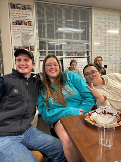 This is alt text for the image