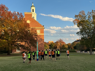 This is alt text for the image