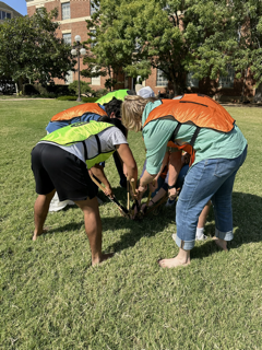 This is alt text for the image