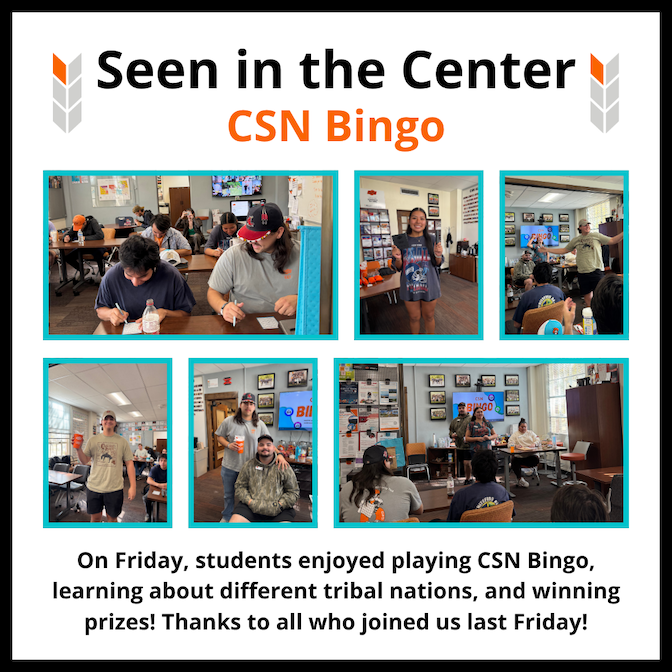 Seen in the Center - Bingo