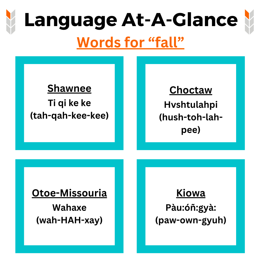 Language At A Glance, words for 